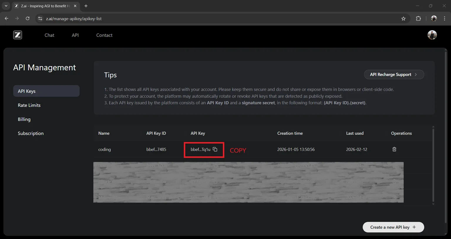 GLM API Key GLM API Key