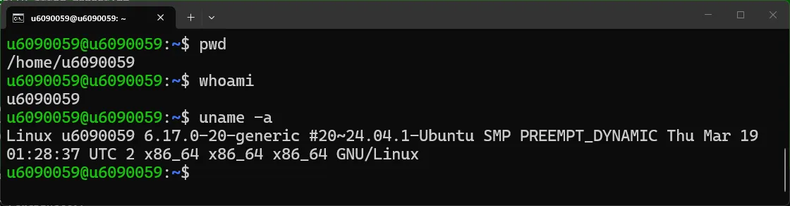 Testing SSH Connection Commands SSH Test Commands
